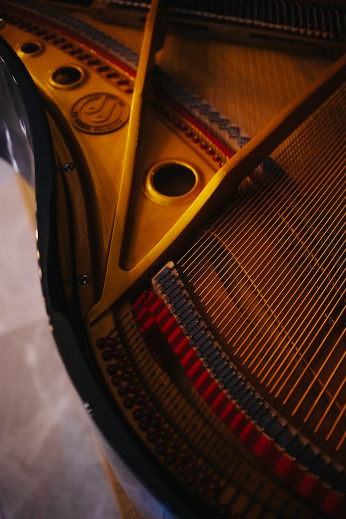 Grand Piano in Macro Shot Photography