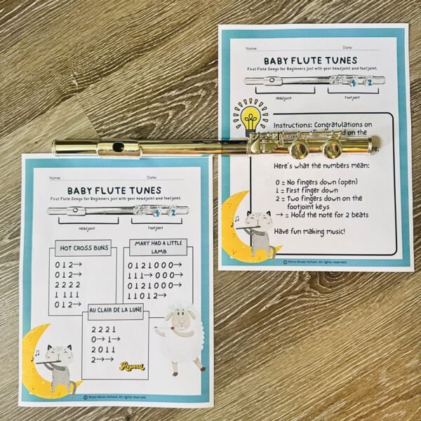 No Prep First Day of Flute Lesson | Baby Flute Tunes – First Songs for Beginner